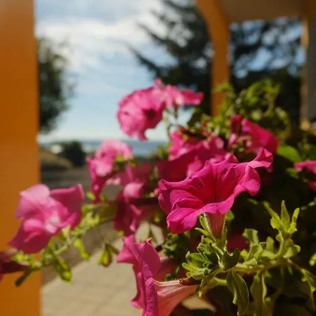 B&B Podere Ospedaletto-3